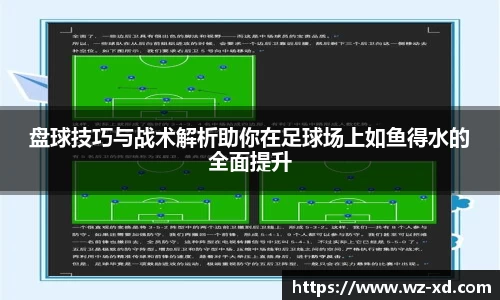 mk体育新版本