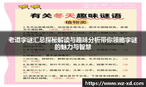 老道字谜汇总探秘解读与趣味分析带你领略字谜的魅力与智慧